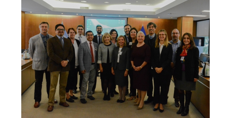 Interagency meeting on standards of care for problematic drug users in the Americas
